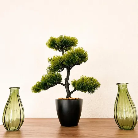Modern *